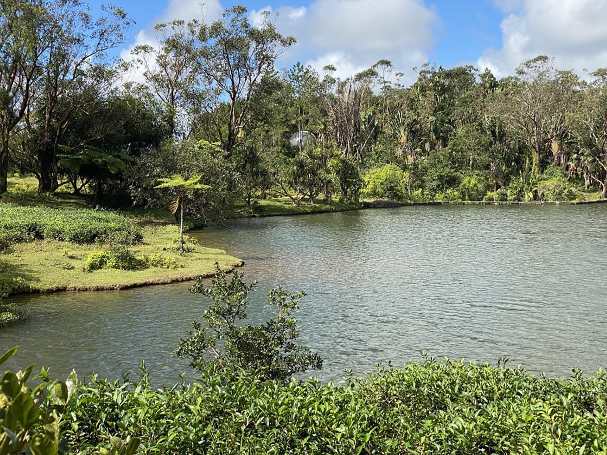 Bubble Plantation Lodge
