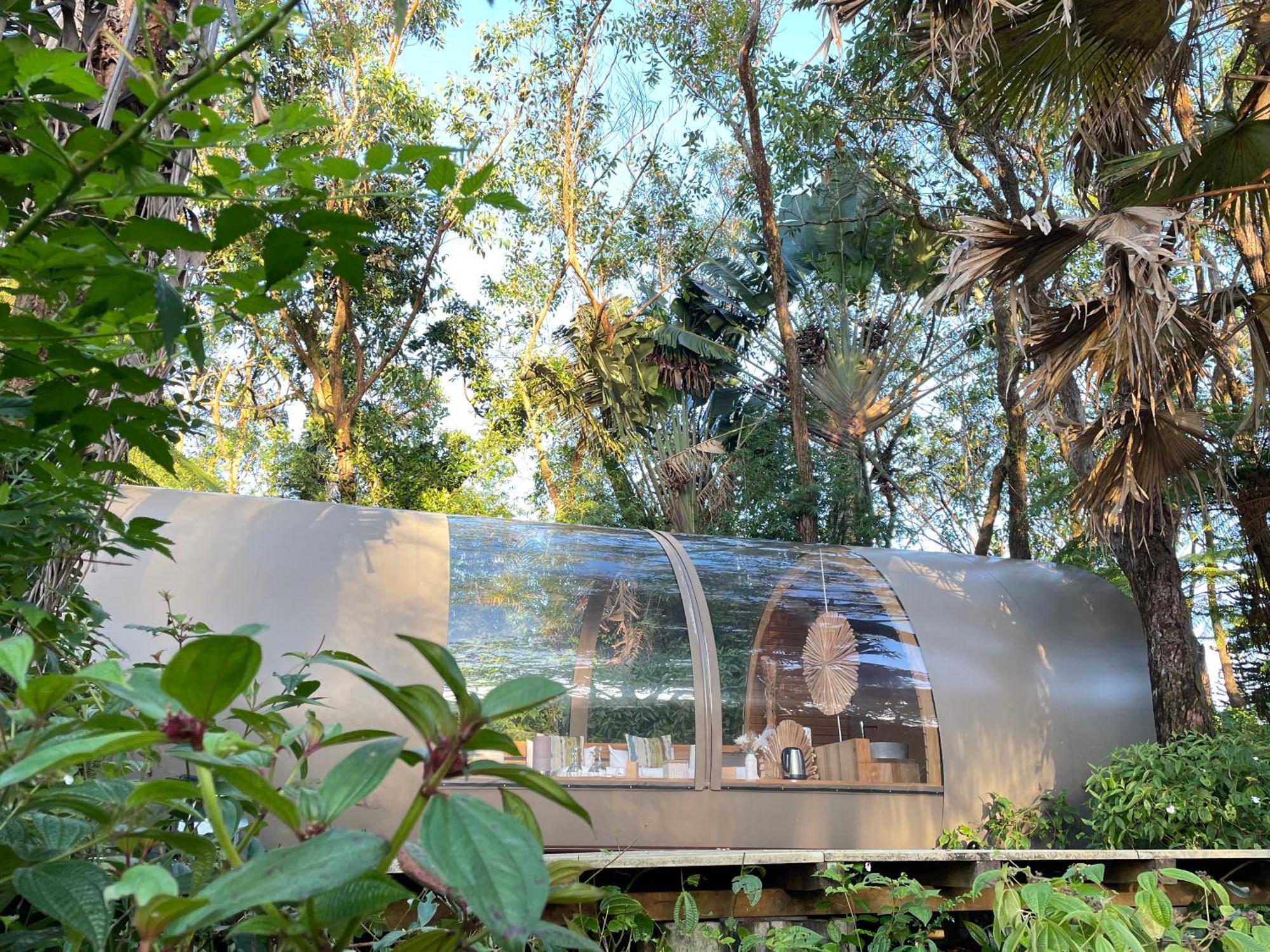 Lodge Bubble Plantation