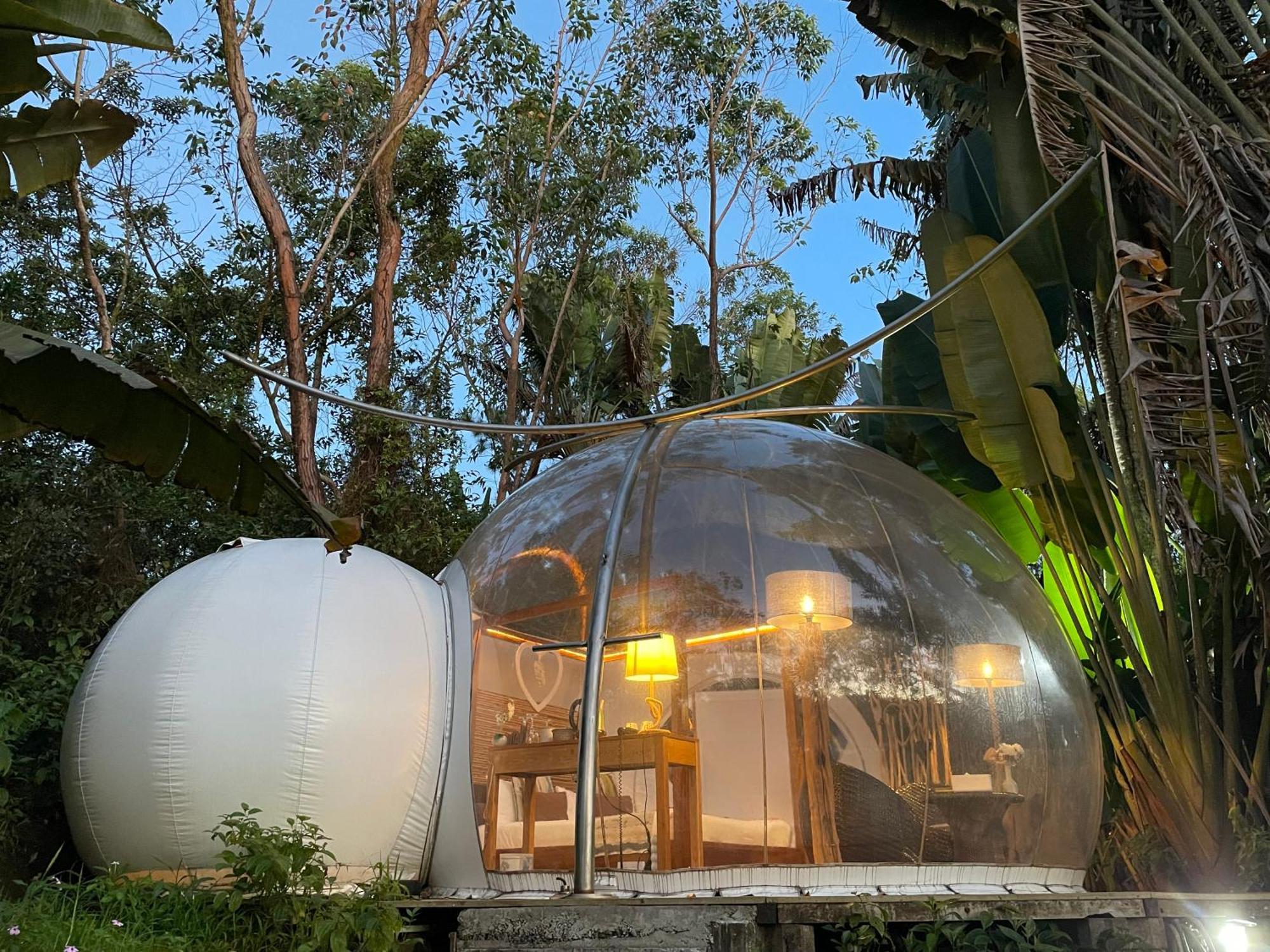 Bubble Plantation Lodge