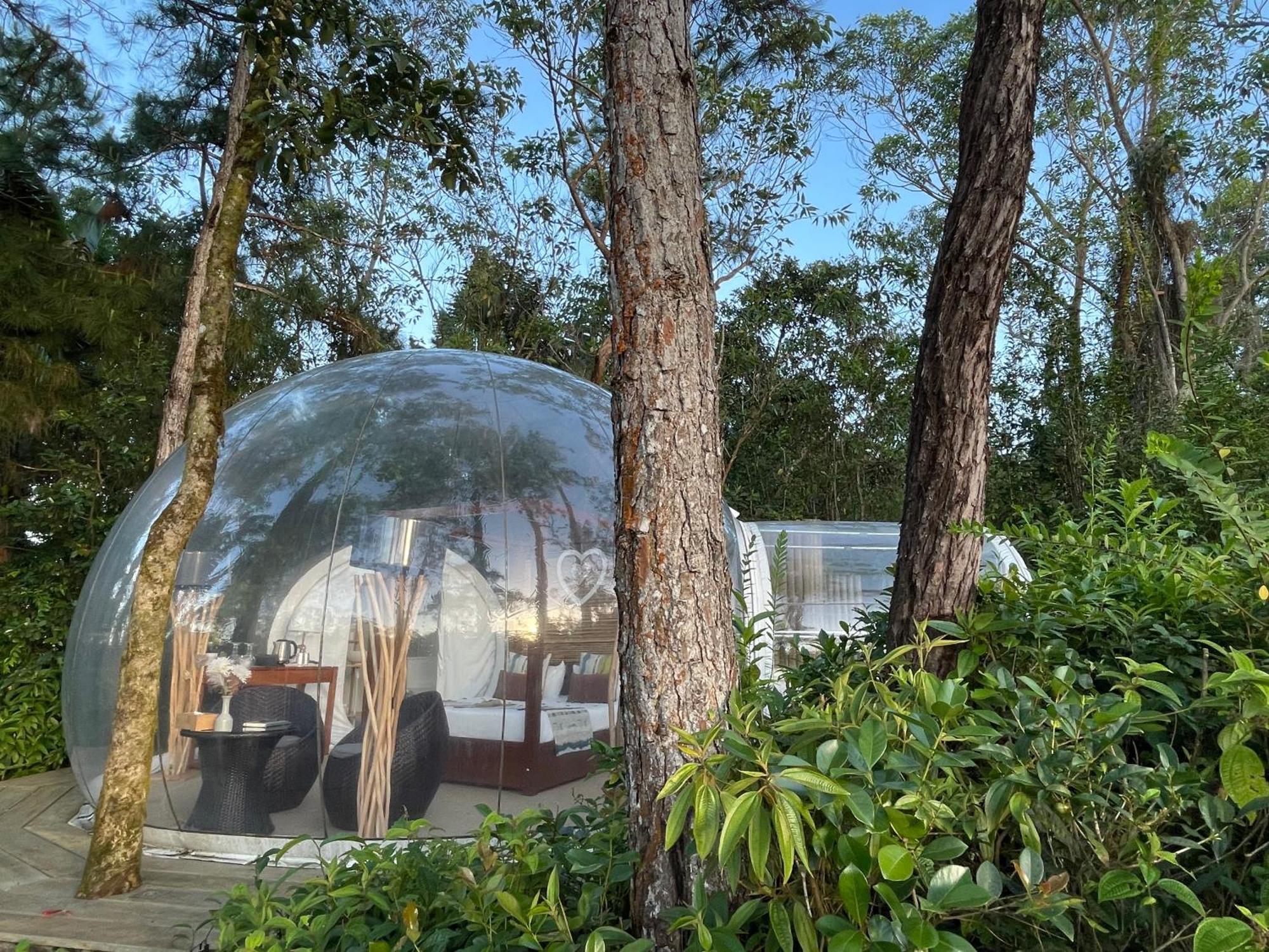 Lodge Bubble Plantation
